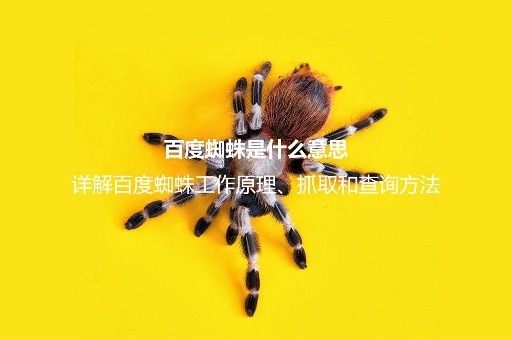 百度蜘蛛是什么意思？詳解百度蜘蛛工作原理、抓取和查詢方法