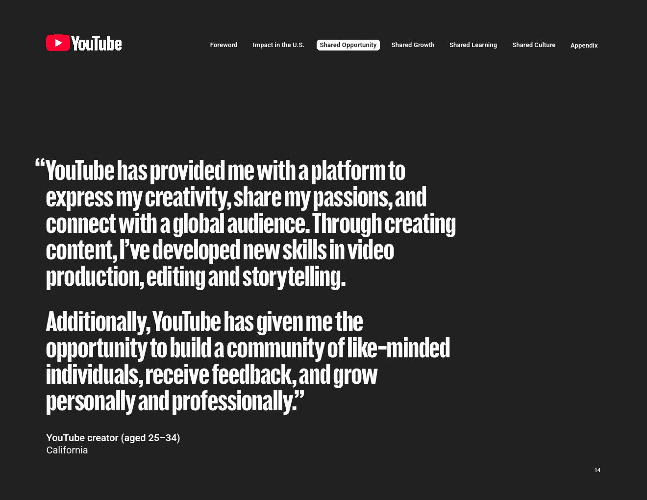2024年YouTube對美國的影響(圖14)