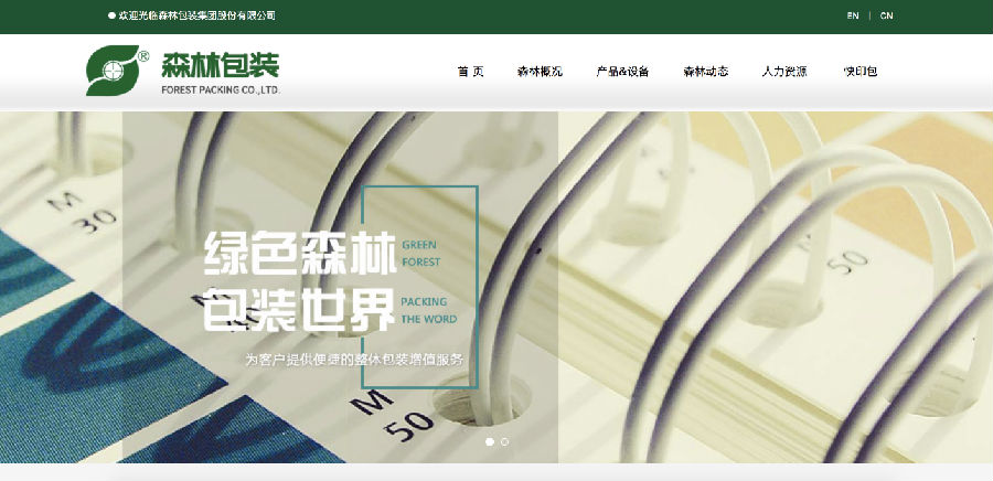 全國印刷廠排行2020網(wǎng)站建設調研(圖11)
